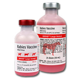 rabies vaccine serial numbers